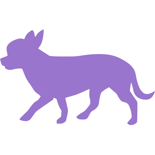 Small dog icon