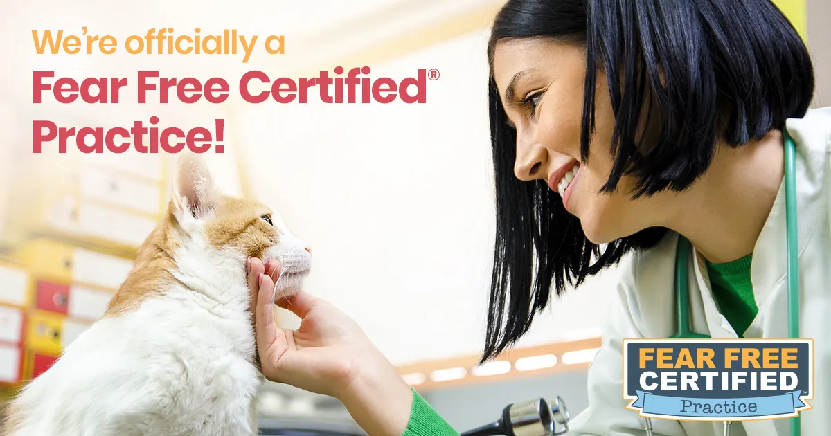 We're officially a Fear Free Certified Practice!