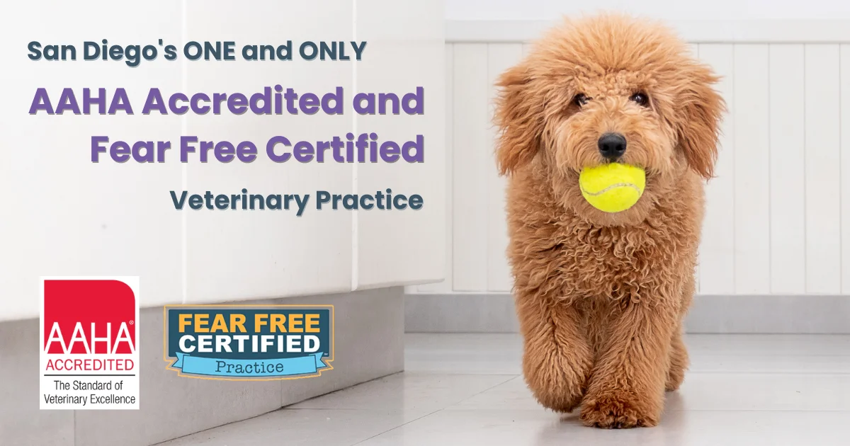 San Diego's ONE and ONLY AAHA Accredited and Fear Free Certified Veterinary Practice