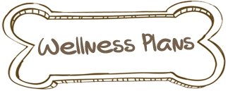 Wellness Plans