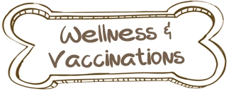 Wellness & Vaccinations